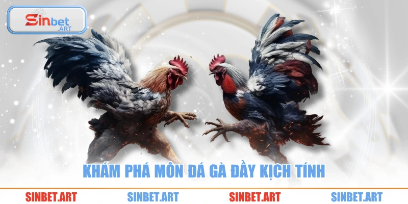 Đá gà 1 Khám phá môn đá gà đầy kịch tính