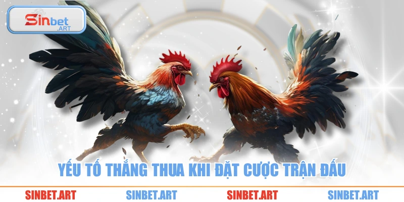 Đá gà 2 Yếu tố thắng thua khi đặt cược trận đấu